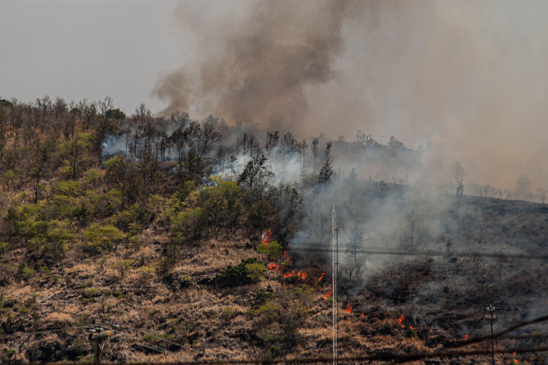 UHM_BrushFire